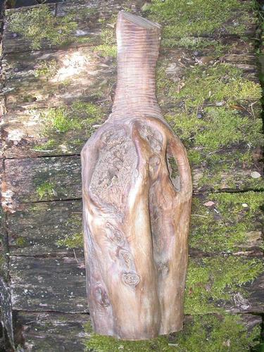 CURIOSITE NATURELLE en BOIS