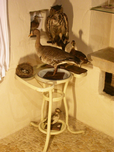 Charmante TABLE de TOILETTE en BOIS COURBE circa 1900