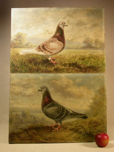 PAIRE d' HUILES sur BOIS illustrant un couple de PIGEONS signée L. CREHAY 1931