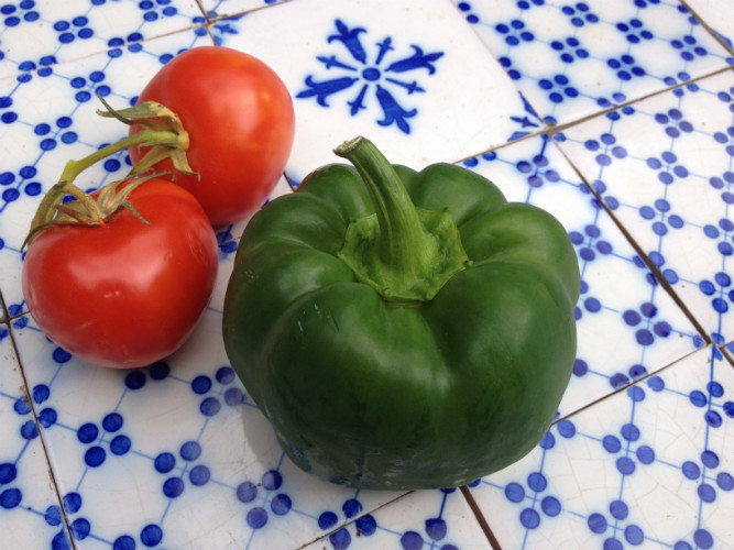 ENSEMBLE de CARREAUX de CUISINE en faïence bleus et blanc début XXème