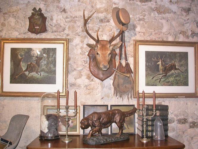 TROPHEE DE CHASSE - CERF 8 CORS - Taxidermie 