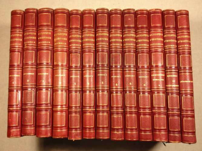 13 vol. HISTOIRE NATURELLE Dr CHENU - CABINET DE CURIOSITES - Buffon